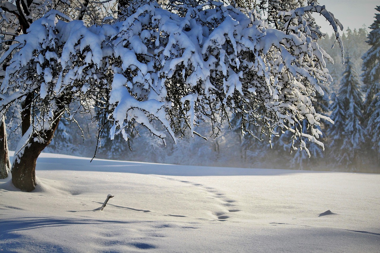 Landschaft im Schnee